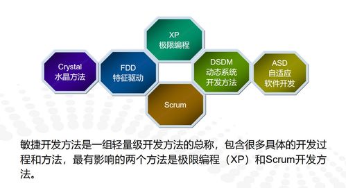 软件工程期末复习总结（六） 软件测试、维护与敏捷开发核心要义